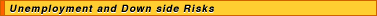 Unemployment and Down side Risks