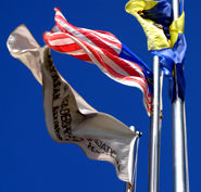 Malaysian Flag pattern