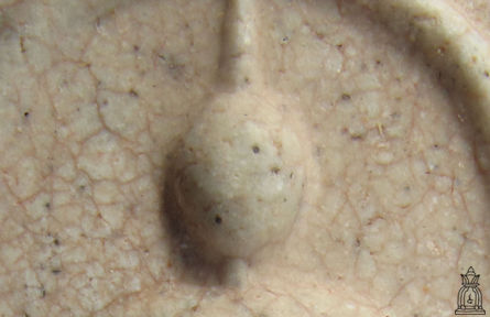 Soomdet / somdej Wat Rakang Buddhist amulet