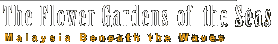 The Flower Gardens Of The Seas