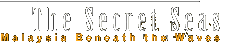 The Secret Seas