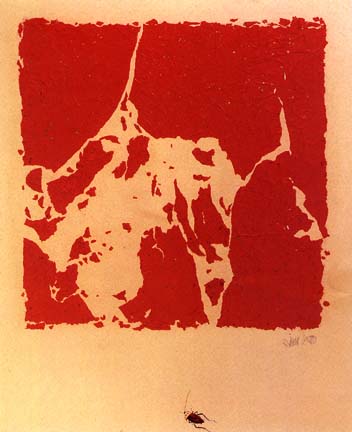 Are We Really Concerned?