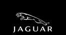 Jaguar black logo