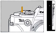 bulb2b.jpg