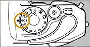 flash2.jpg