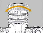 focus2.jpg