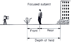 focus_subject.gif