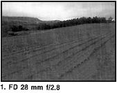 lens1.jpg