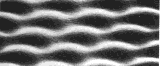 scrnenlarge.gif