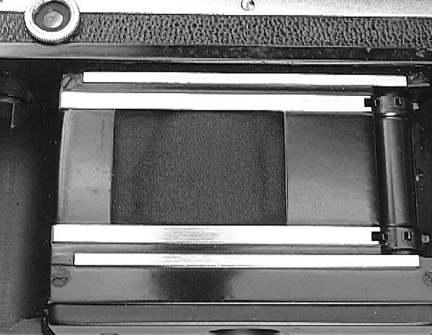 Nikon S 8 digits serial numbering shutter curtain