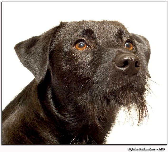 A power ful Portrait with standard lens 