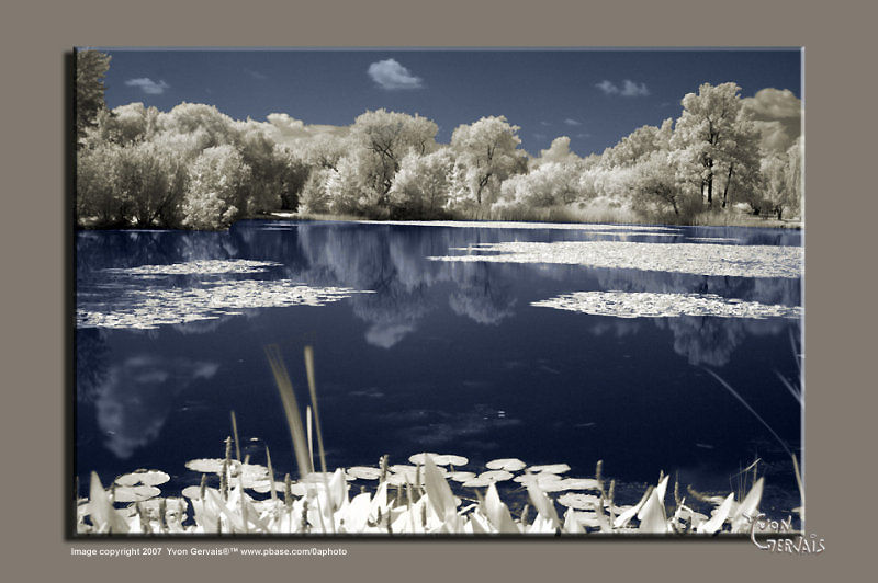 Infra ... by YvonGervais