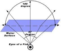fisheyeillus.gif