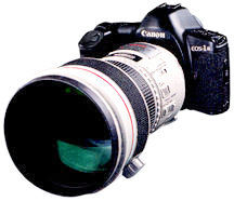 EOS1n.jpg