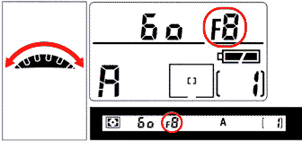 basic20b.gif