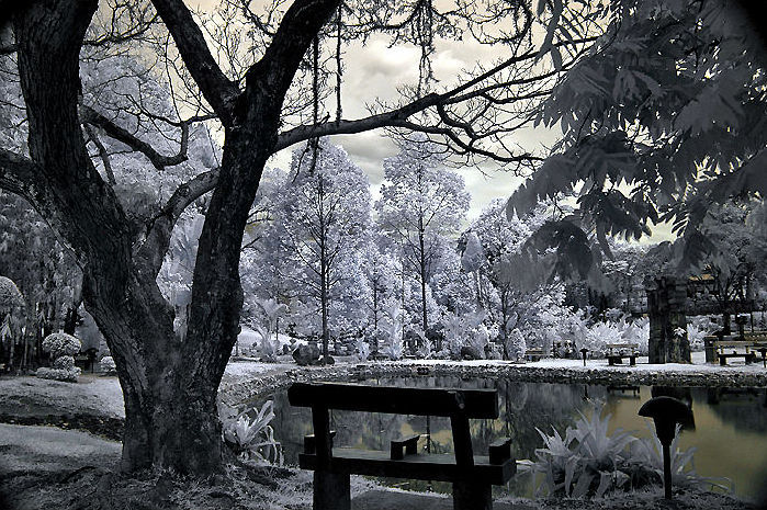 Ahmad_Dahalan_Yaakob-IR.jpg (156k) Loading ...