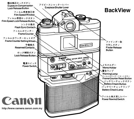 Backview.jpg (44k)