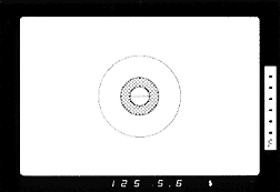 Viewinfo.gif (5k)