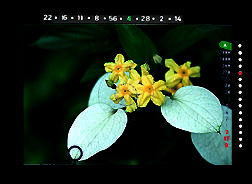 Sample6.jpg