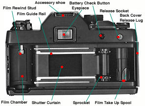 Contax RTS Back.jpg (19k) Loading...