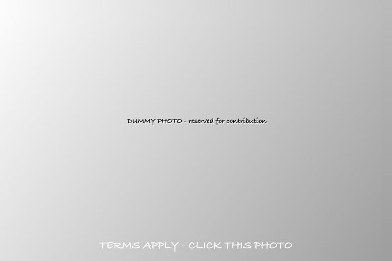 DUMMY PHOTO (68K Jpeg) Loading ...