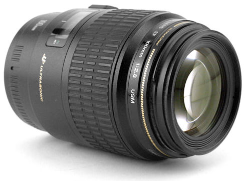 Canon EF100mm f/2.8 USM Macro Lense - Index Page