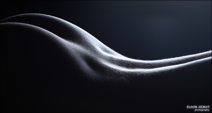 Fine art photography by Eldor Gemst 36k Jpeg Loading ....