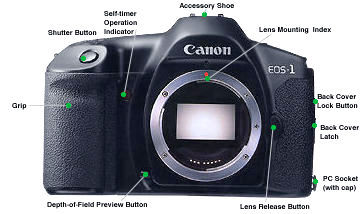 Canon EOS1 Front View.jpg (19k) Loading ....