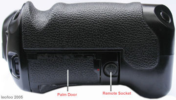 side_palmdorr.jpg
