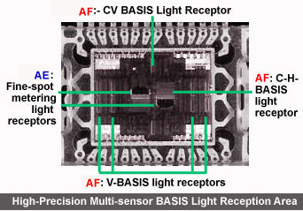 BASIS chip technical function illustration
