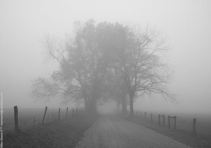 Sparks_Lane_in_Cades...by Mike Niemi (43k)  Loading ...