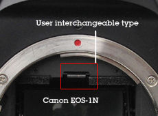 Canon EOS-1N focusing screen section