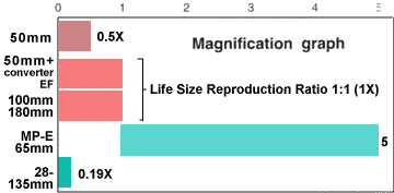 Magnification ratio comparing graph