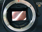 EOS-RTmirrorBsml.JPG