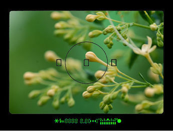 eos500Nviewinfoplant.jpg