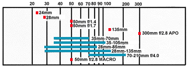 lenschartillus.gif