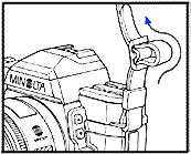 2strap.gif