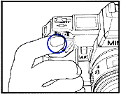 7a.gif