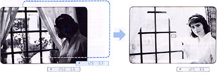 aelockillus.jpg