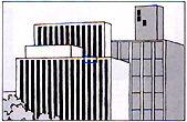 afillus3.jpg