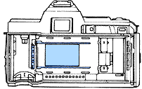 filmback1.gif