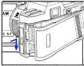 loadfilm2.gif