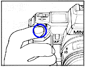 selftimer2.gif