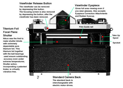 Main Body Back View.jpg (33k)