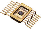 IC.jpg (4k)