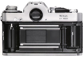 Backview.jpg (12k)