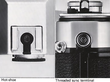 Dual Terminal for Flash.jpg (19k)