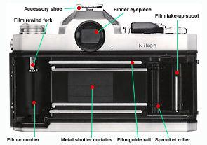 Backview.jpg (17k)