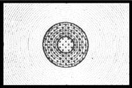 Type G Screen.gif