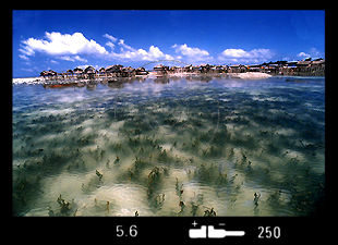 Simpadan.jpg (21k) Loading...